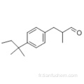 2-méthyl-3- [4- (2-méthylbutan-2-yl) phényl] propanal CAS 67467-96-3